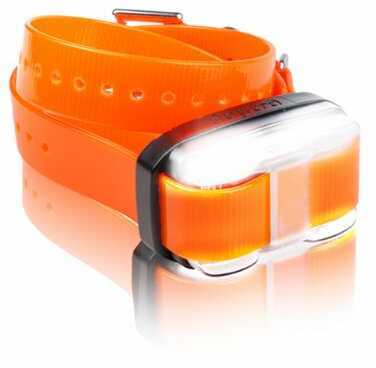 Dogtra Edge Rx Orange Extra Collar